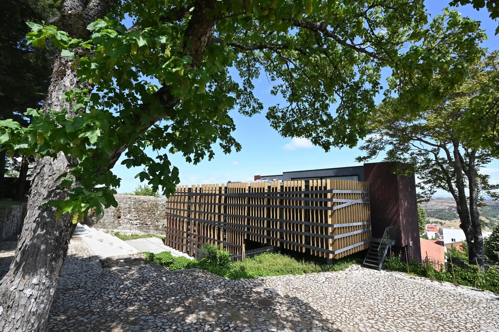 CVR Beira Interior Vinhos