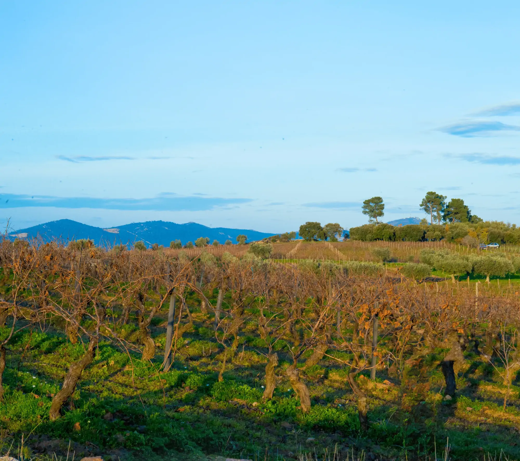 Definidos pela NaturezaMarcados pela Altitude