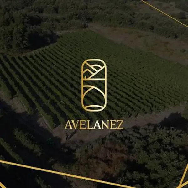 Avelanez Wines - Marco Paulo Matias Ferreira