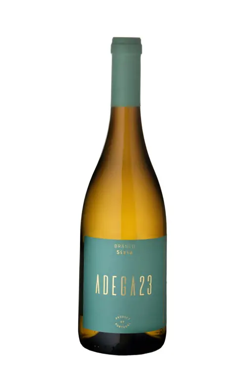 Adega 23 Branco Síria 2022