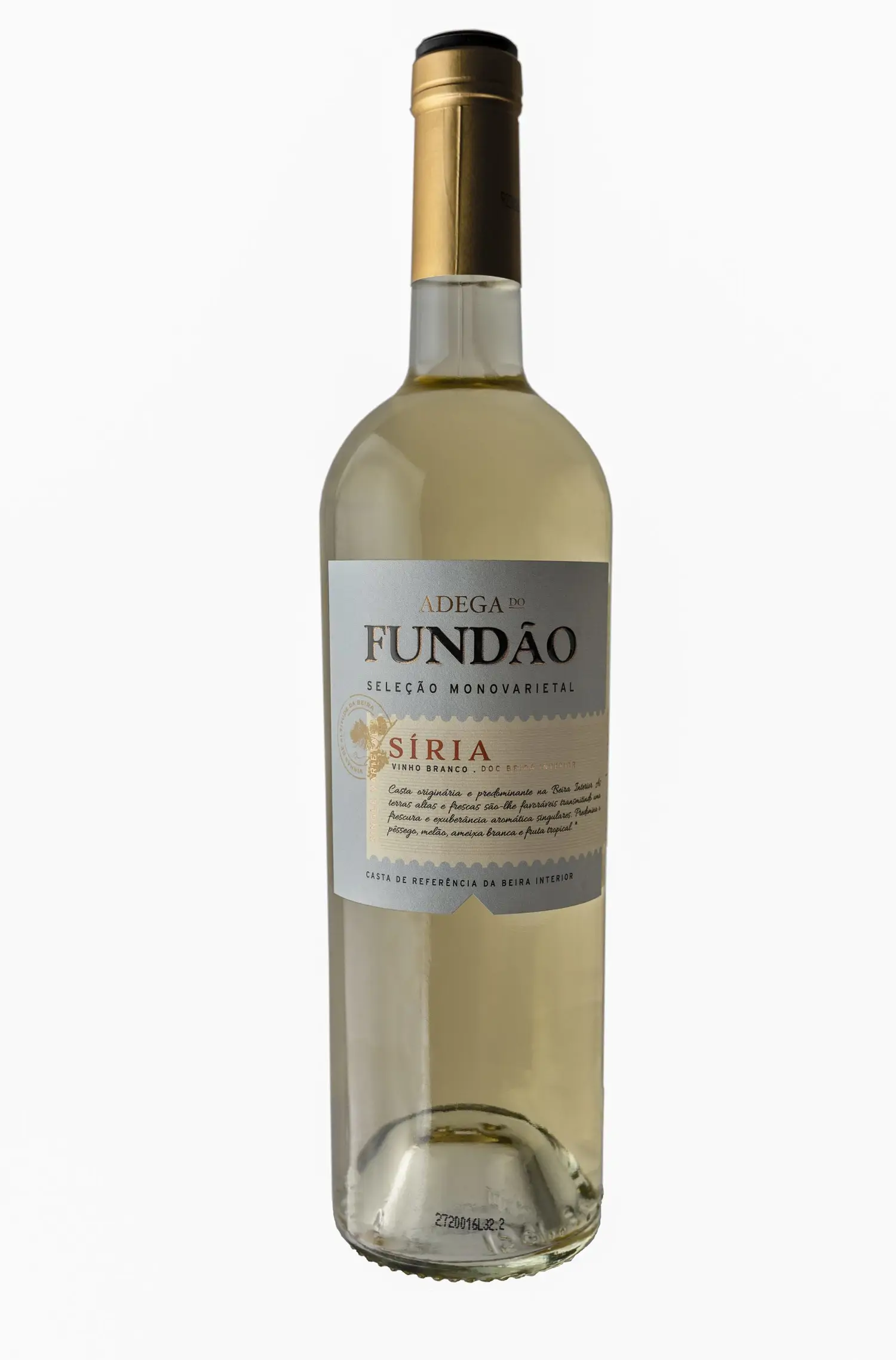 Adega Fundão Seleção Síria 2021