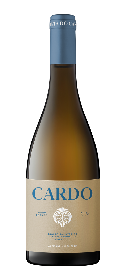 Cardo Branco 2022