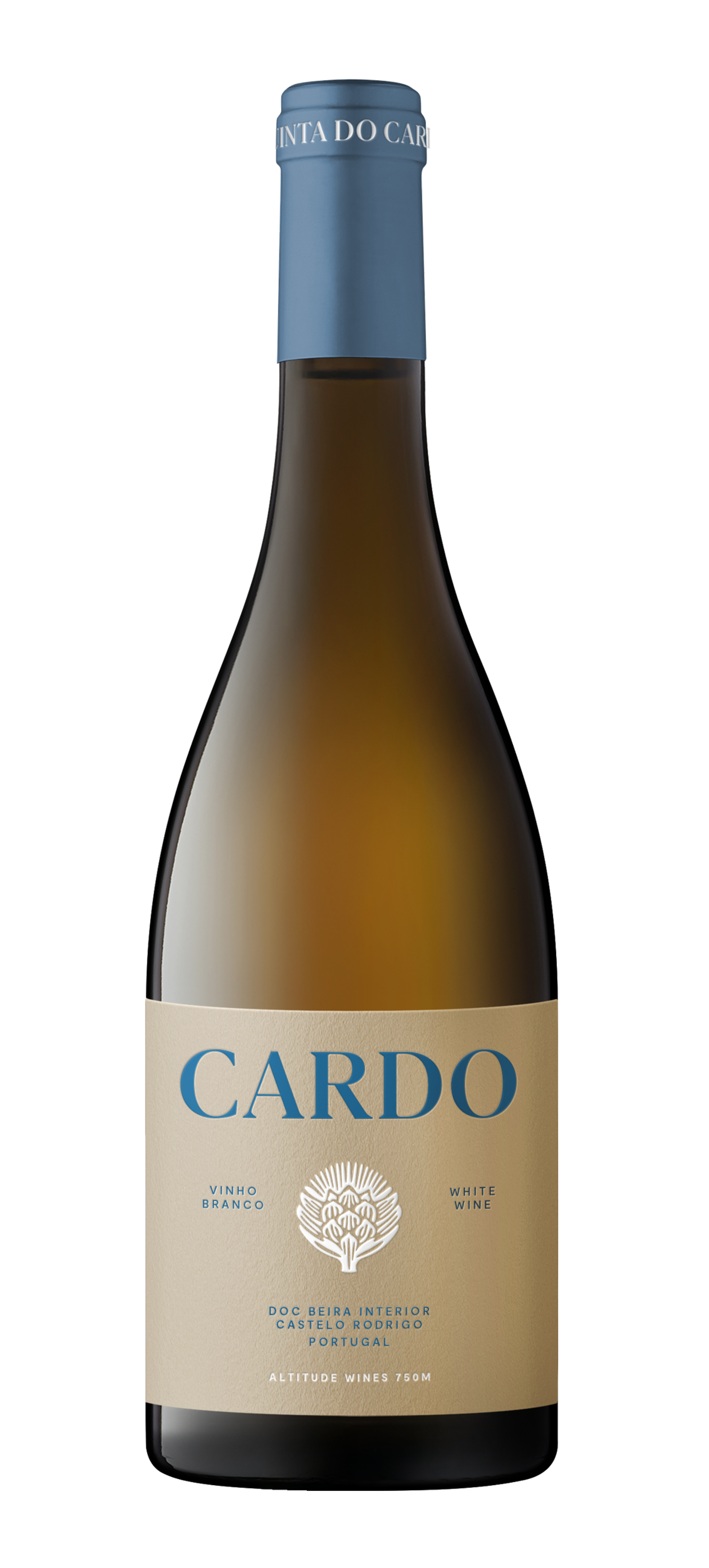 Cardo Branco 2024