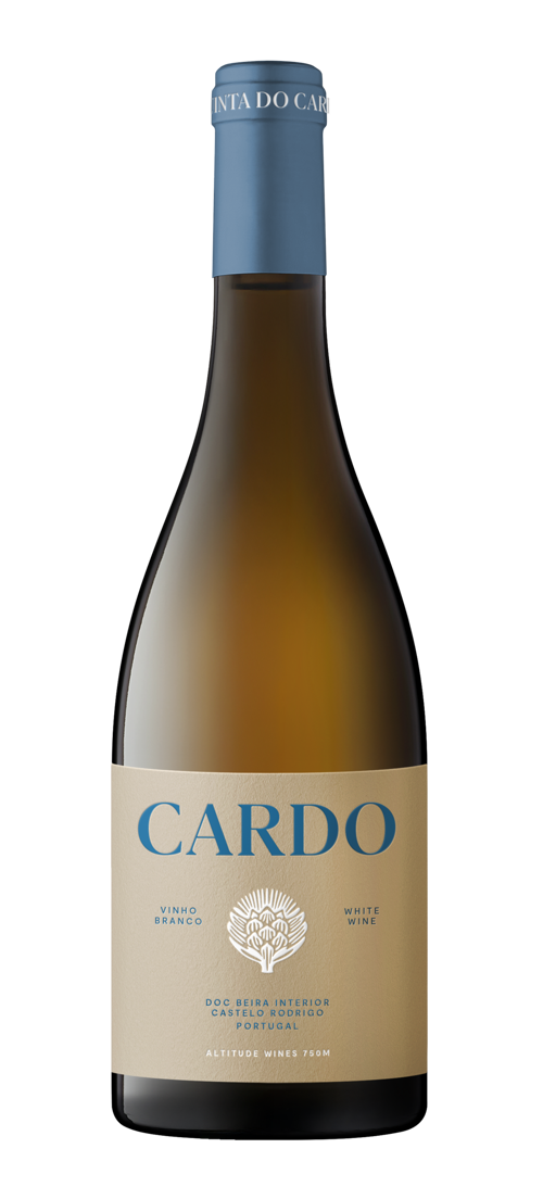Cardo Branco 2024