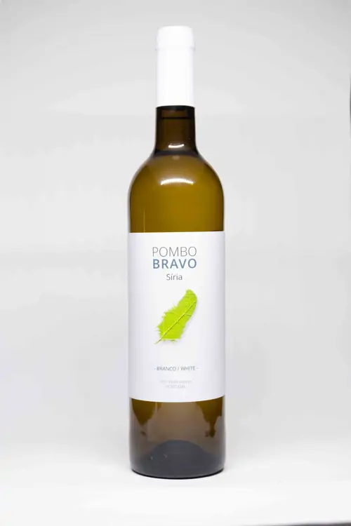 Pombo Bravo Síria 2020