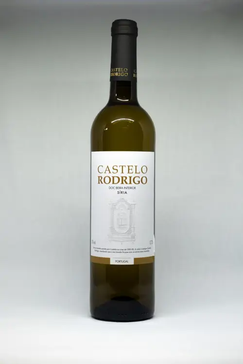 Castelo Rodrigo Síria 2023