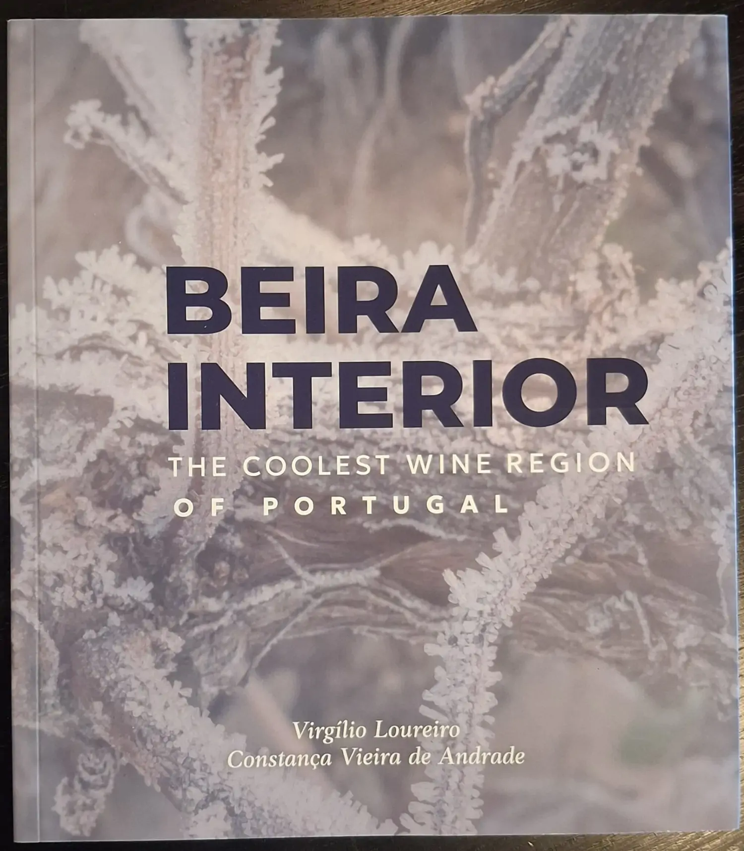 The Coolest Wine Region of Portugal