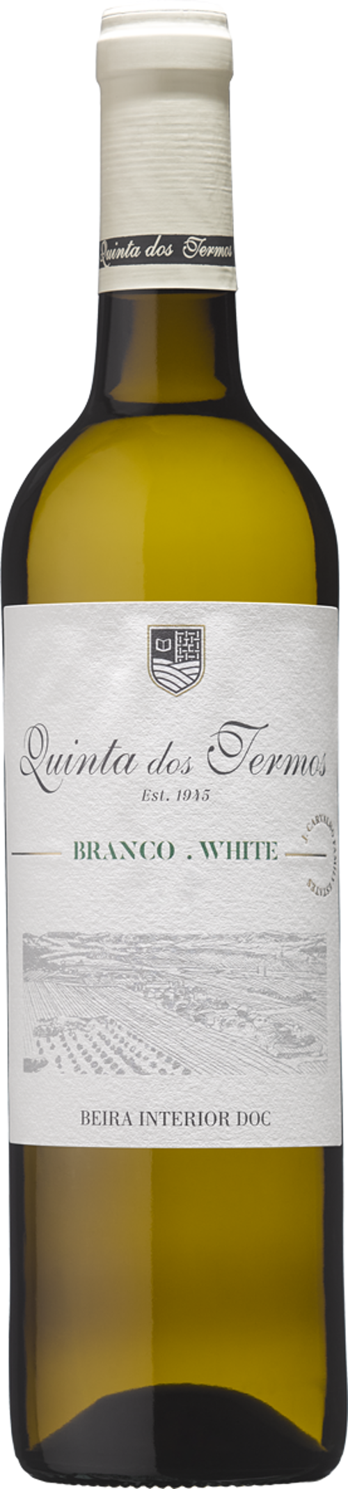 Quinta dos Termos Branco 2024