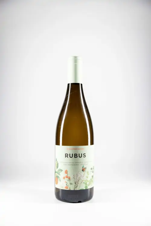 Rubus vino blanco 2025