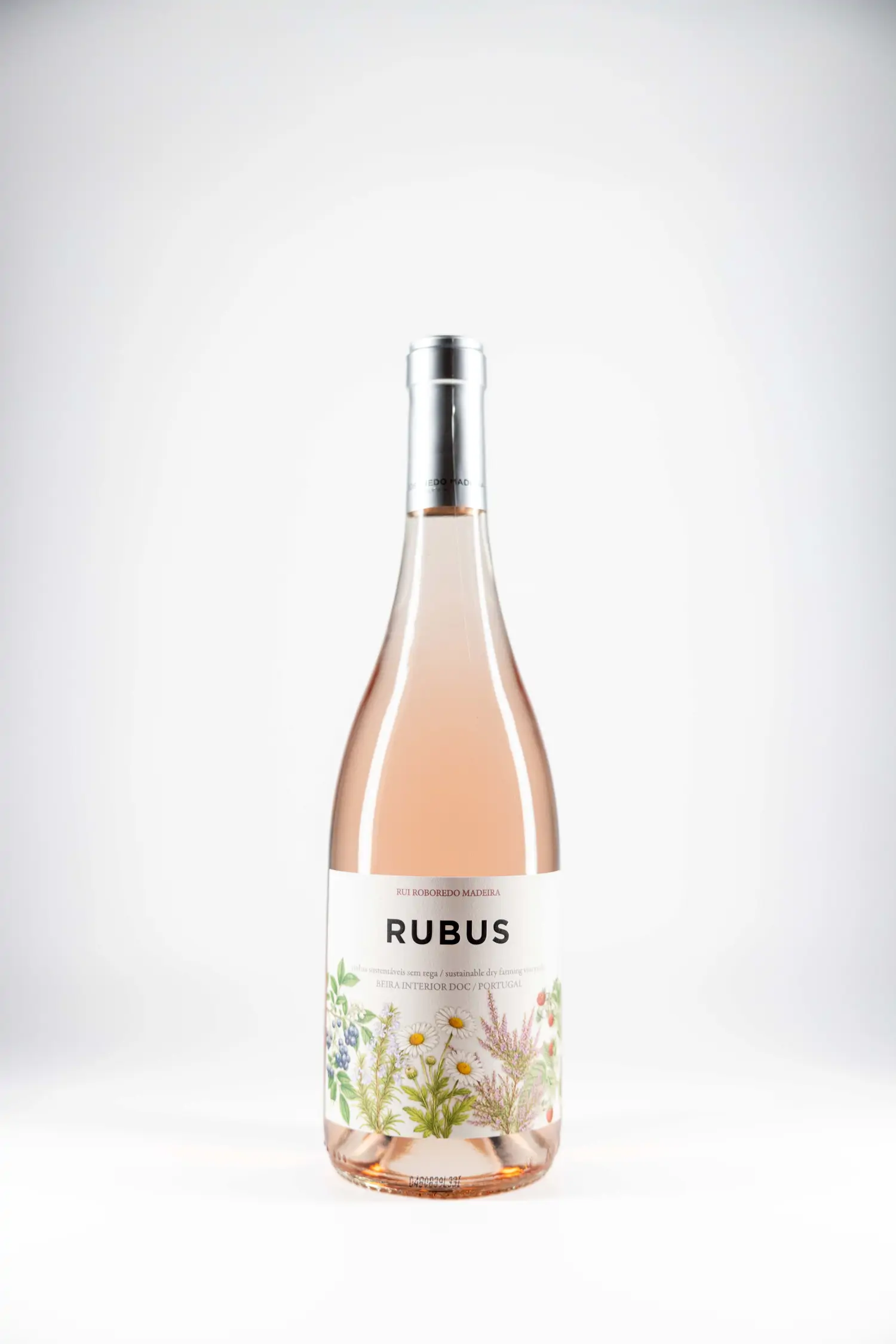 Rubus Rose 2025