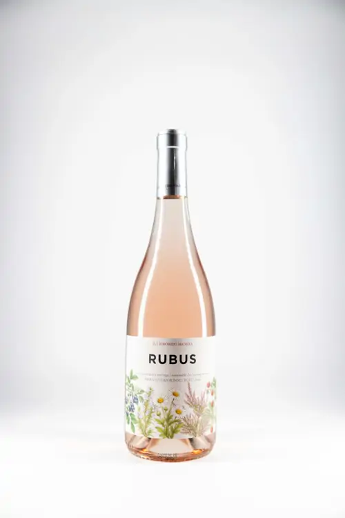 Rubus Rose 2025